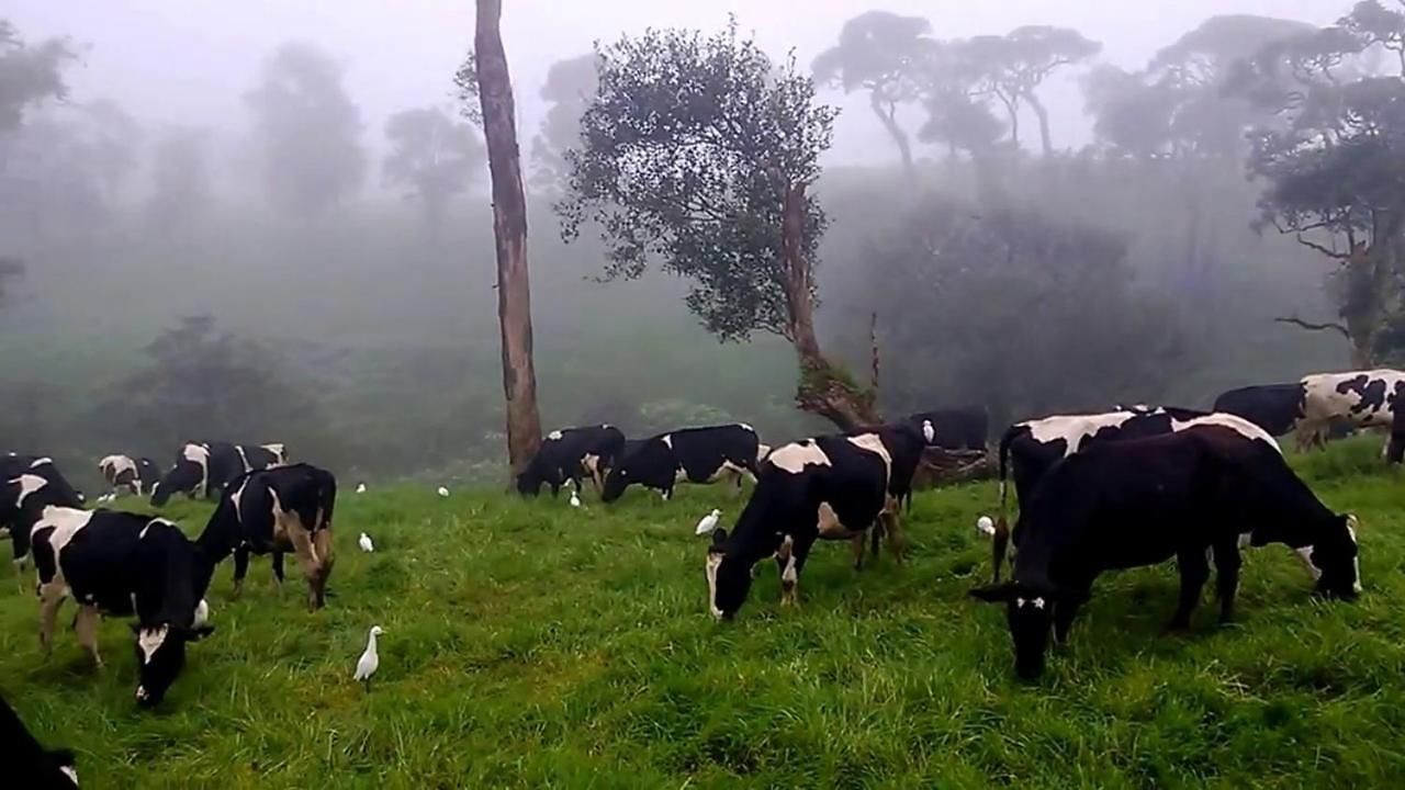 Guest house The New View Nuwara Eliya