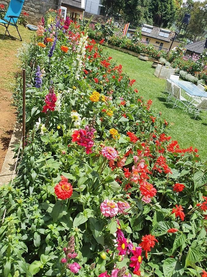 The Planter's Legacy By Fairway *