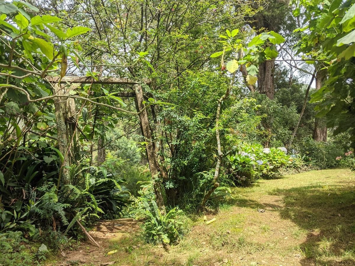 Guest house Selwood