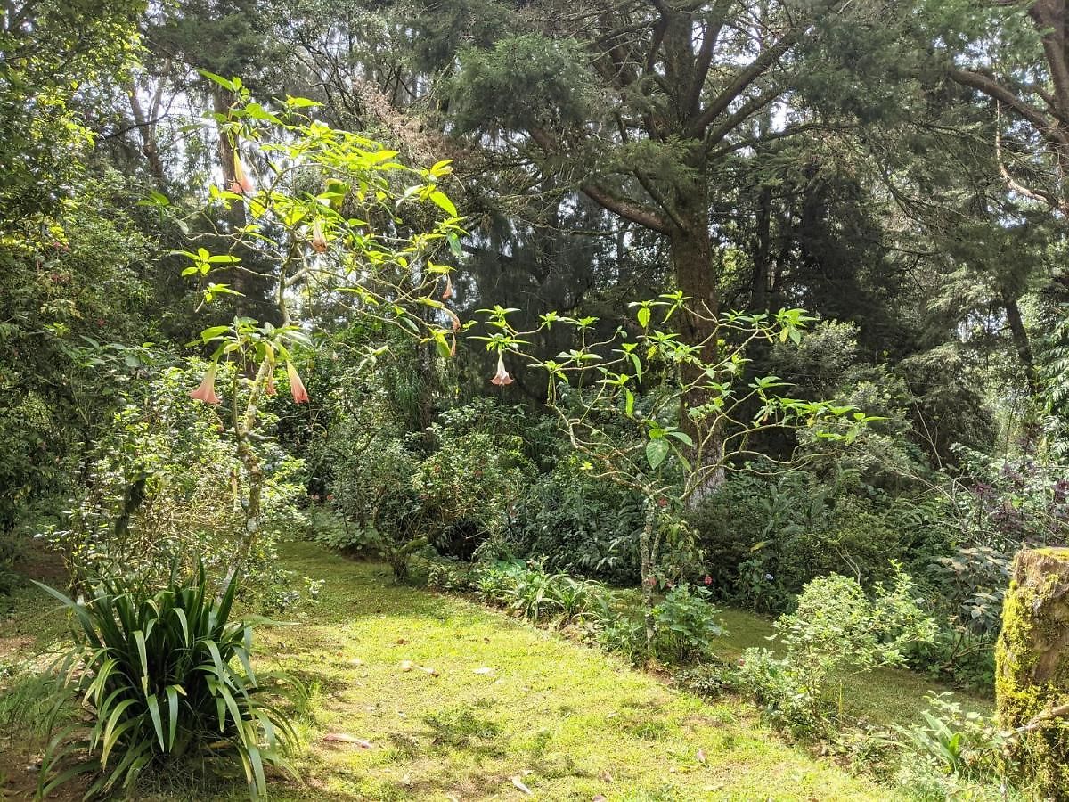 Guest house Selwood