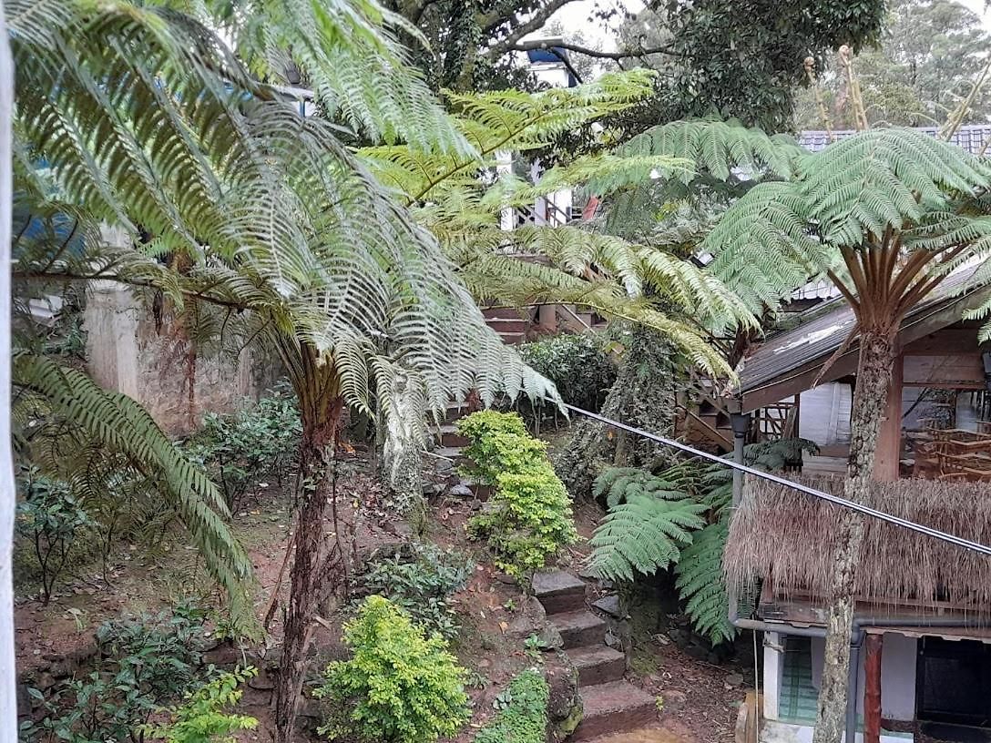 Kingfern Nuwara Eliya