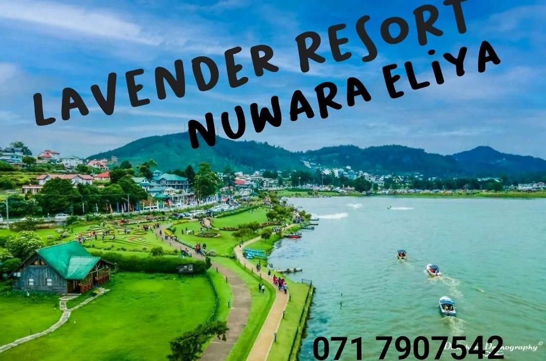 Lavender * Nuwara Eliya