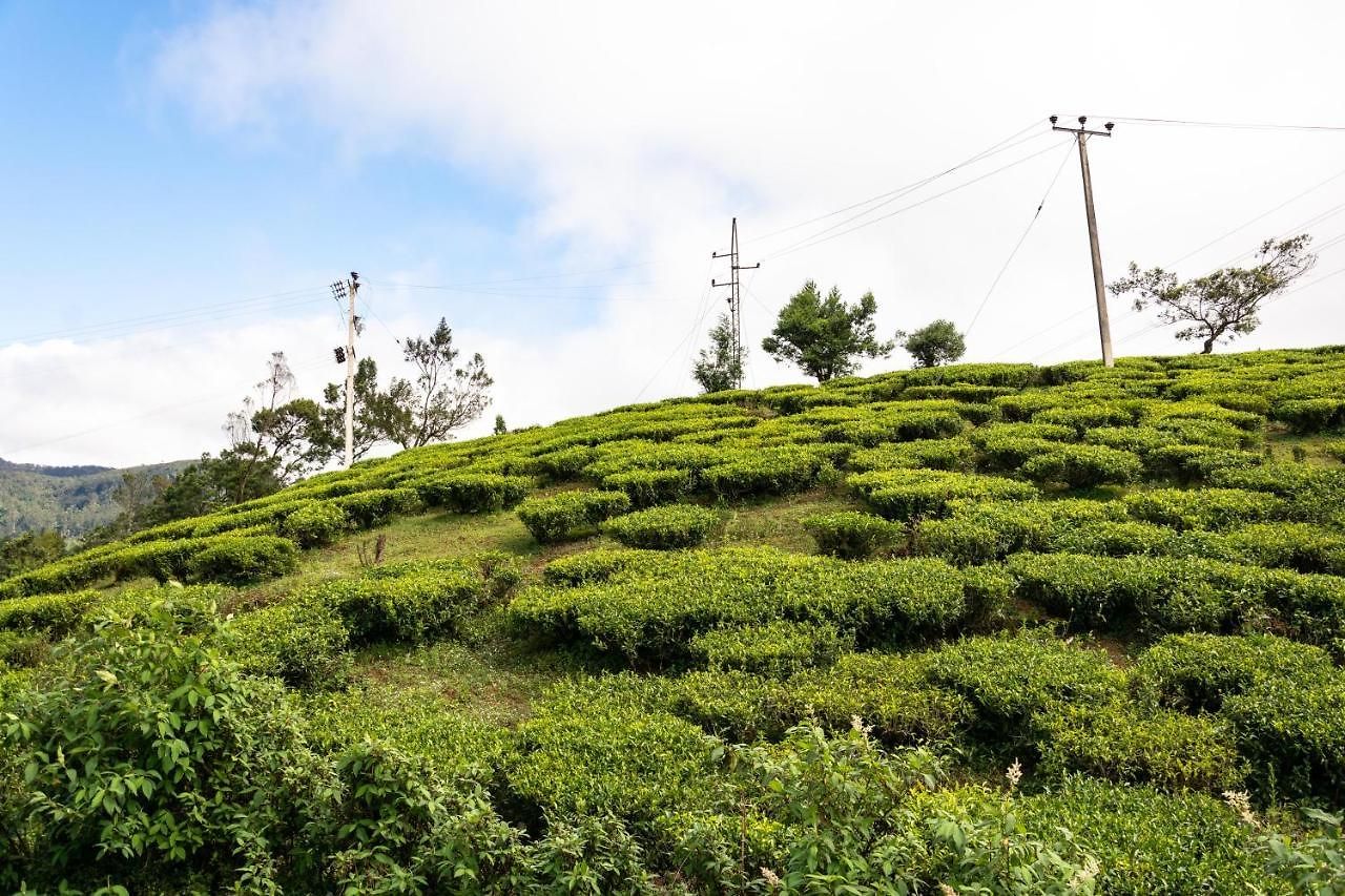 Lakeville Nuwara Eliya