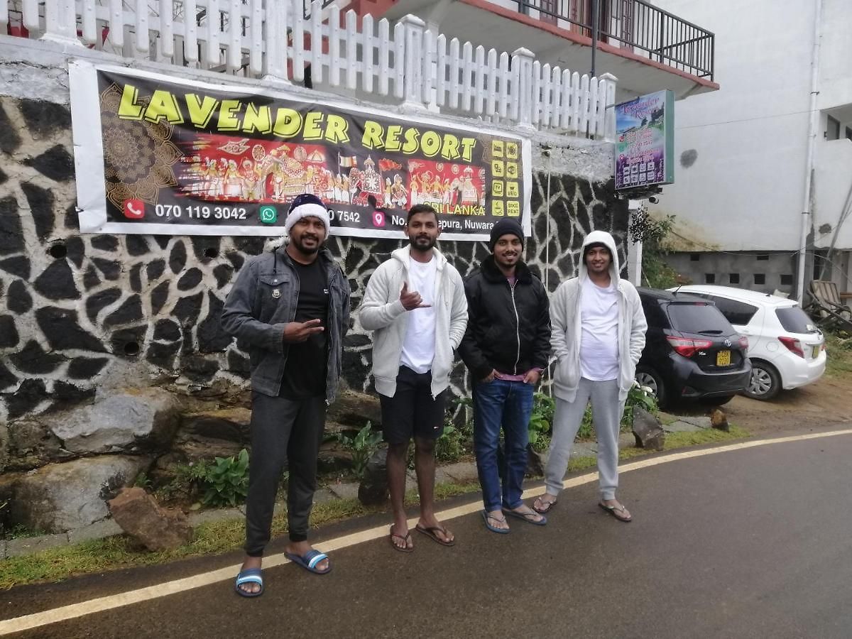 Hotel Lavender