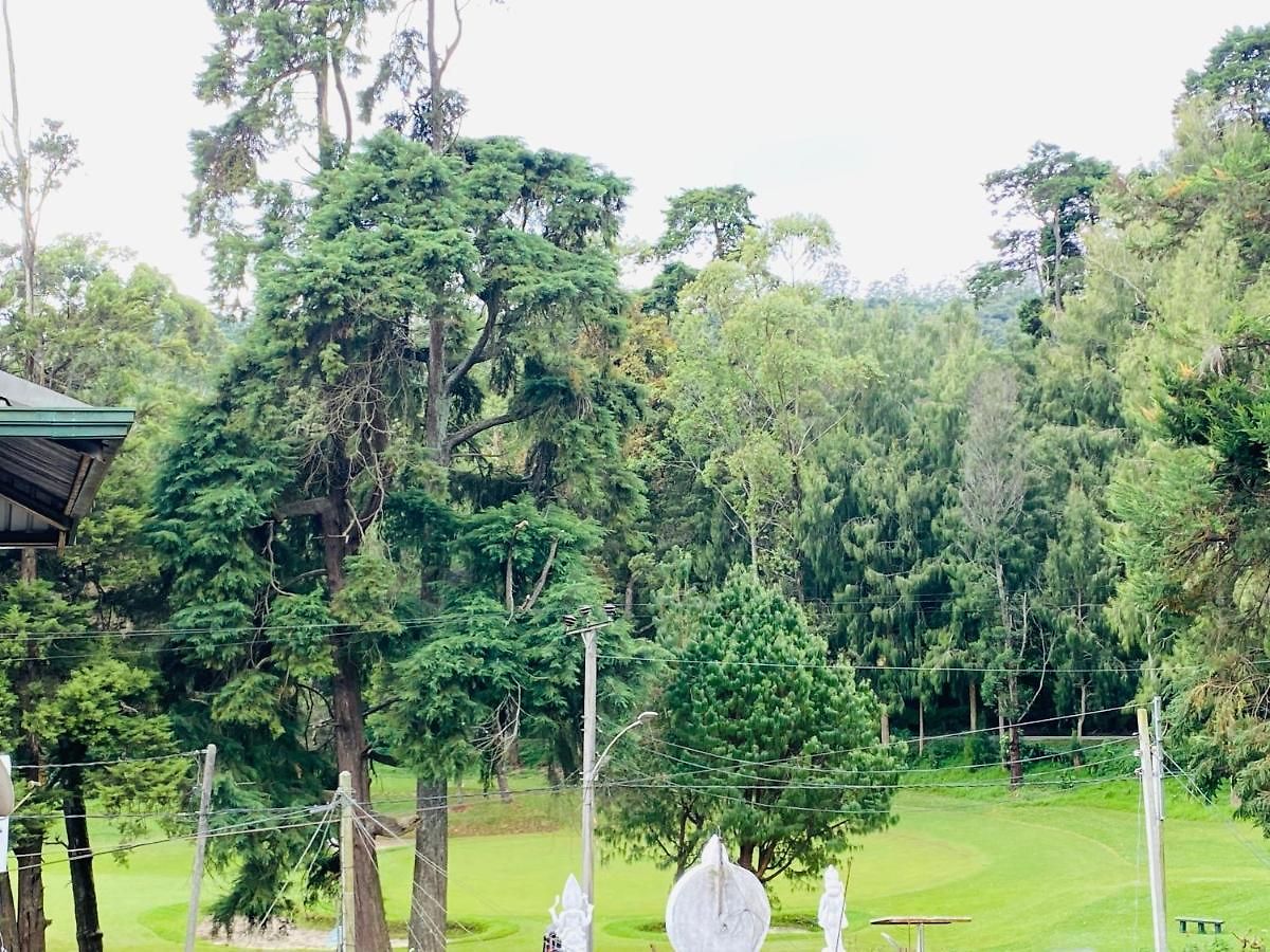 Niwasa House Nuwaraeliya Guest house Nuwara Eliya