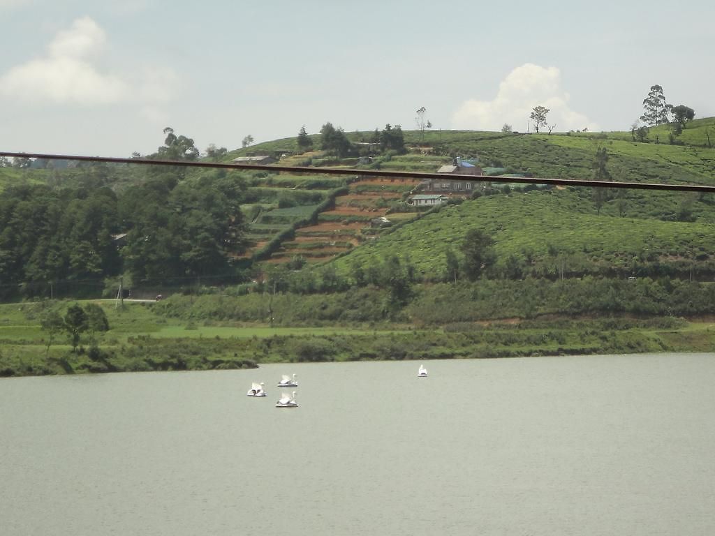 Srihelyes Nuwara Eliya