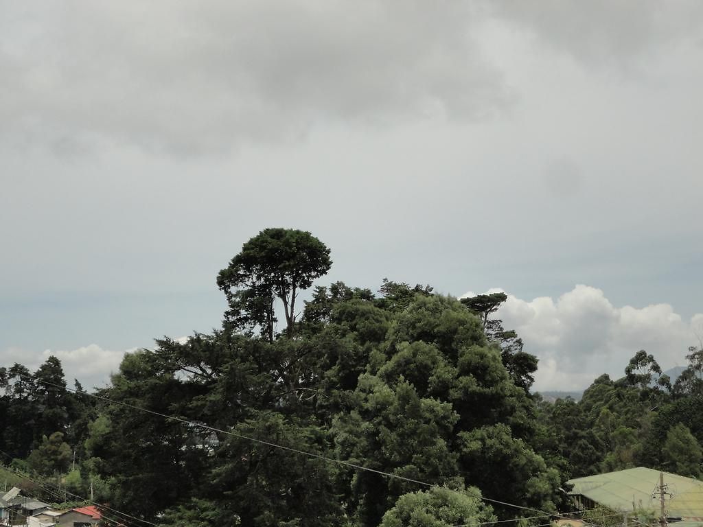 Srihelyes Homestay