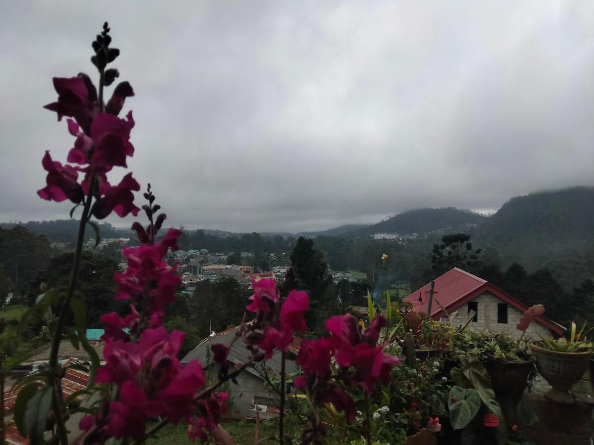 Homestay La Rose Geust House