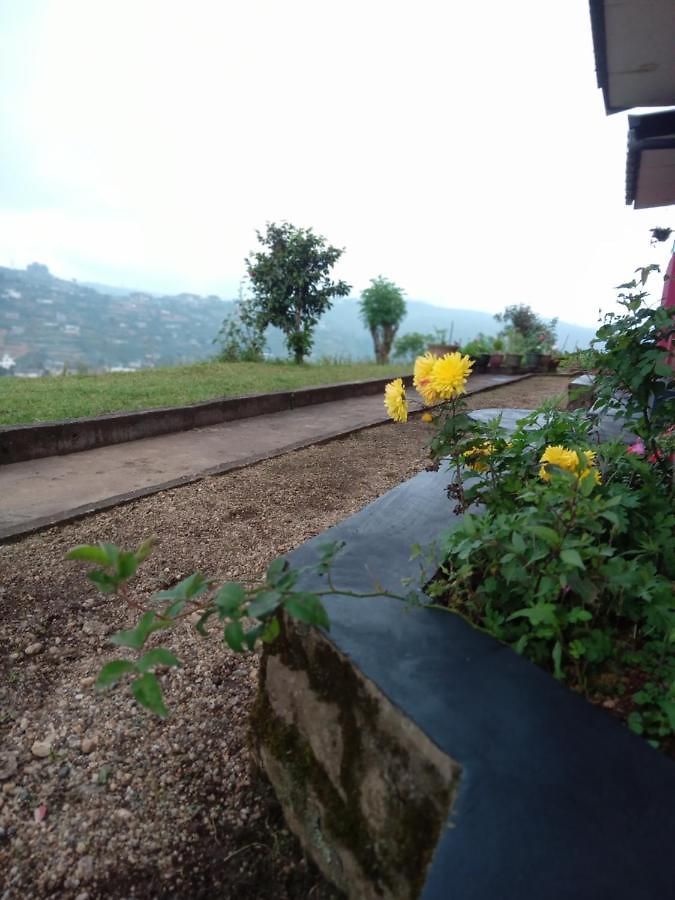 Mount View Chalet