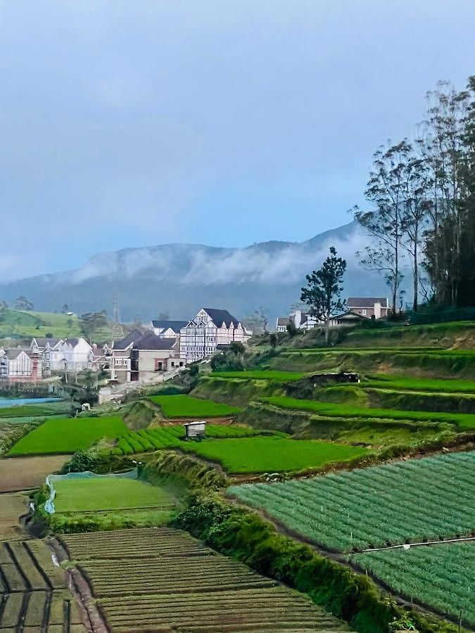 Dream Guest house Nuwara Eliya