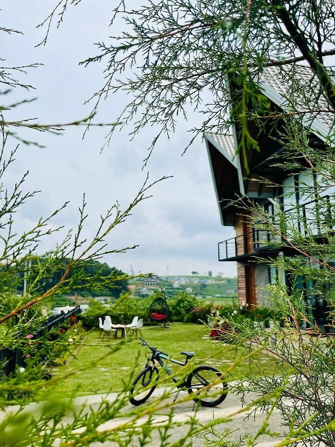 Guest house Dream