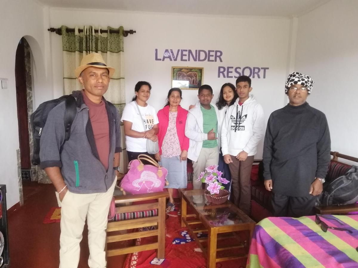 Lavender Nuwara Eliya
