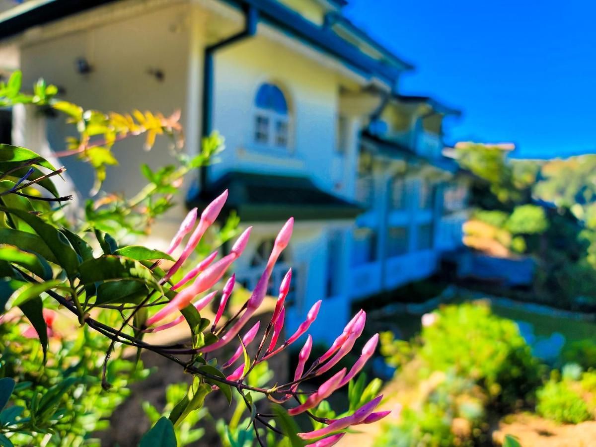 Notre Dame D'arcadia 2* Nuwara Eliya