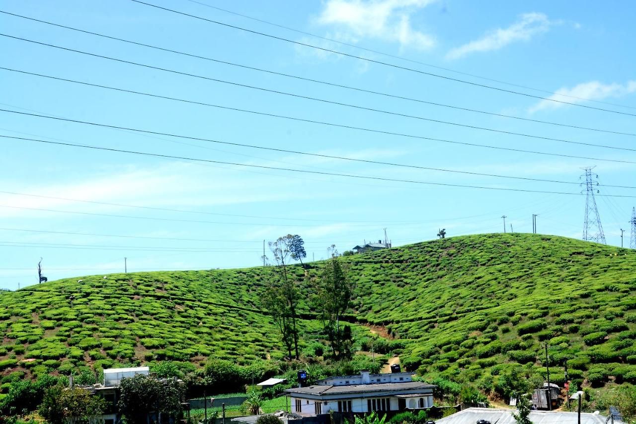 The Fern 2* Nuwara Eliya