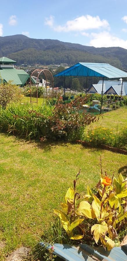 Breezey Park * Nuwara Eliya
