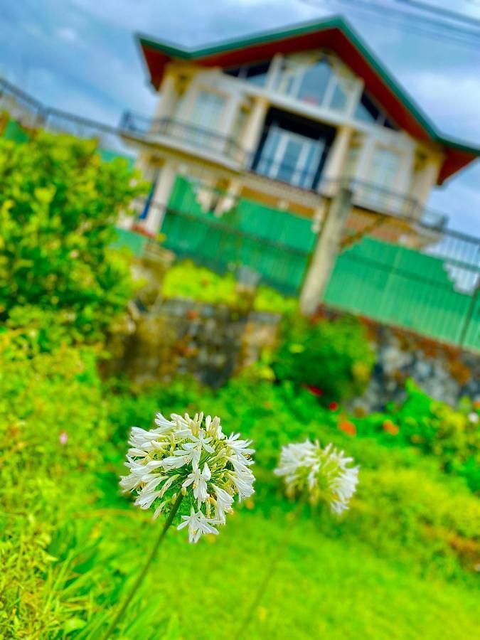 Hill Paradise