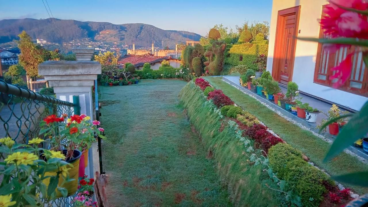 Elegant Guest house *