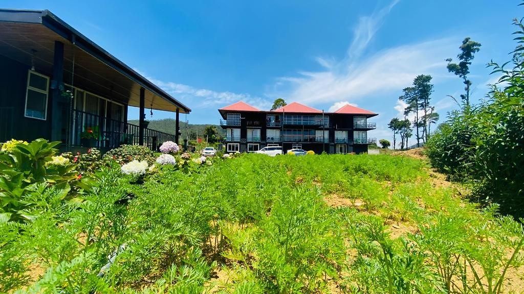 Cozy Nuwara Eliya