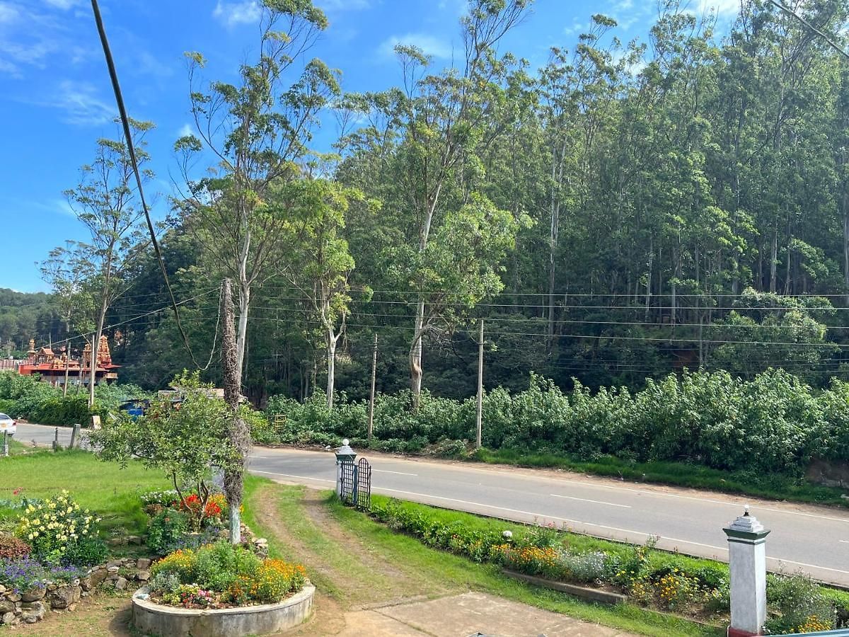 The Savanna Guest house