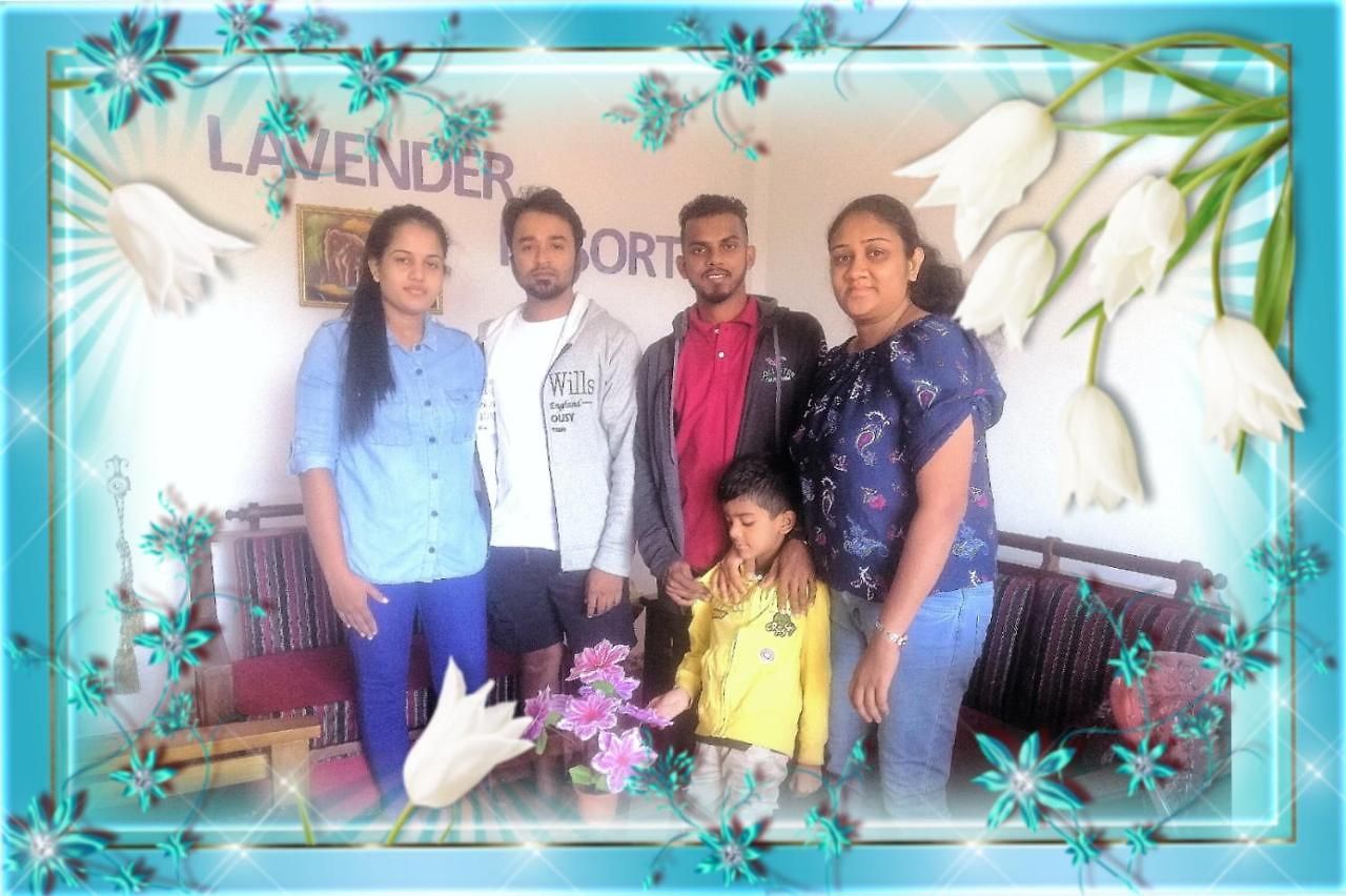 Hotel Lavender