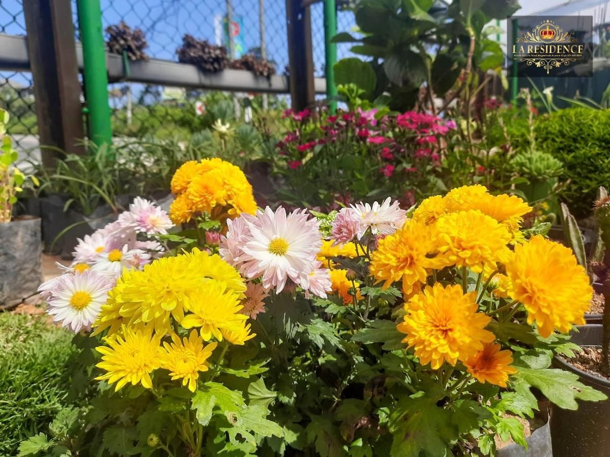 La Nuwara Eliya