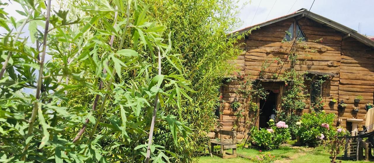 Silonya Resort Nuwara Eliya