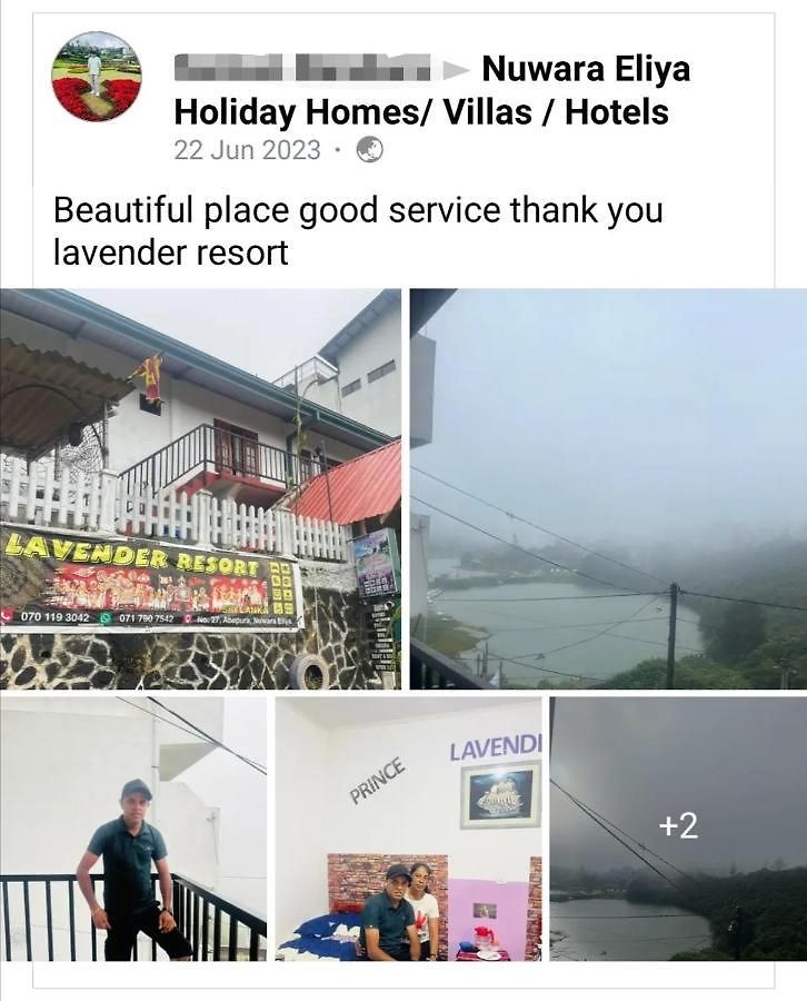 Lavender Nuwara Eliya