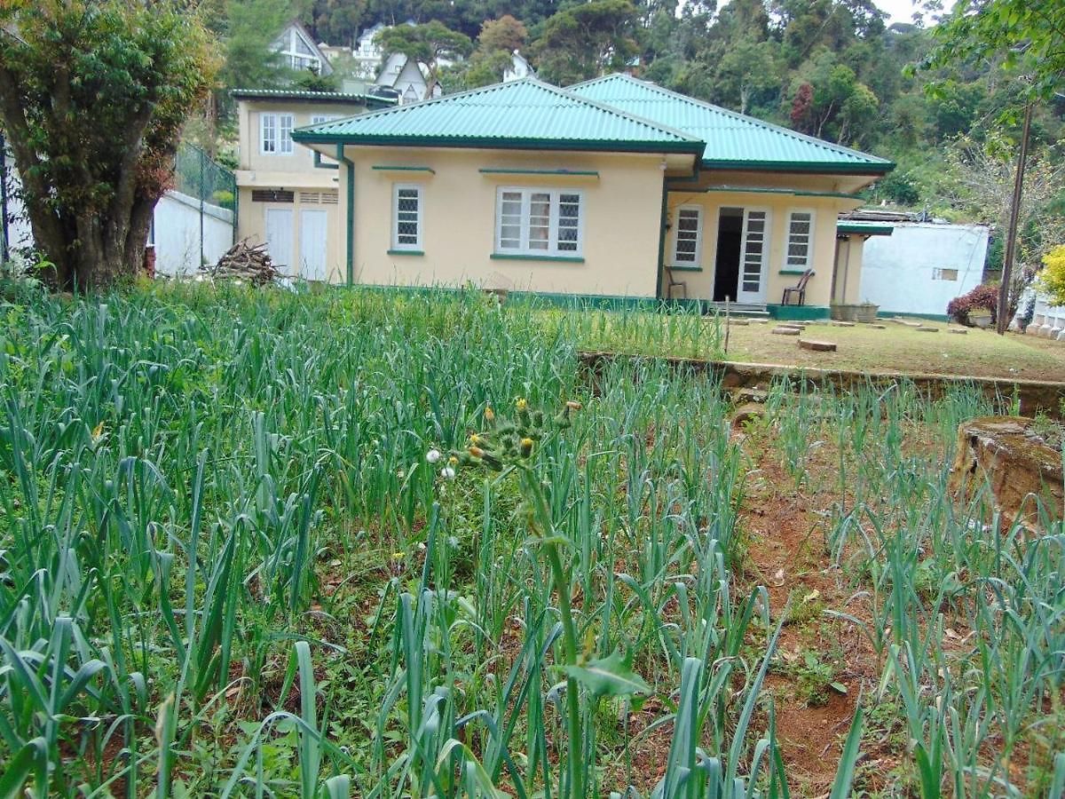 Pennington Hostel Nuwara Eliya