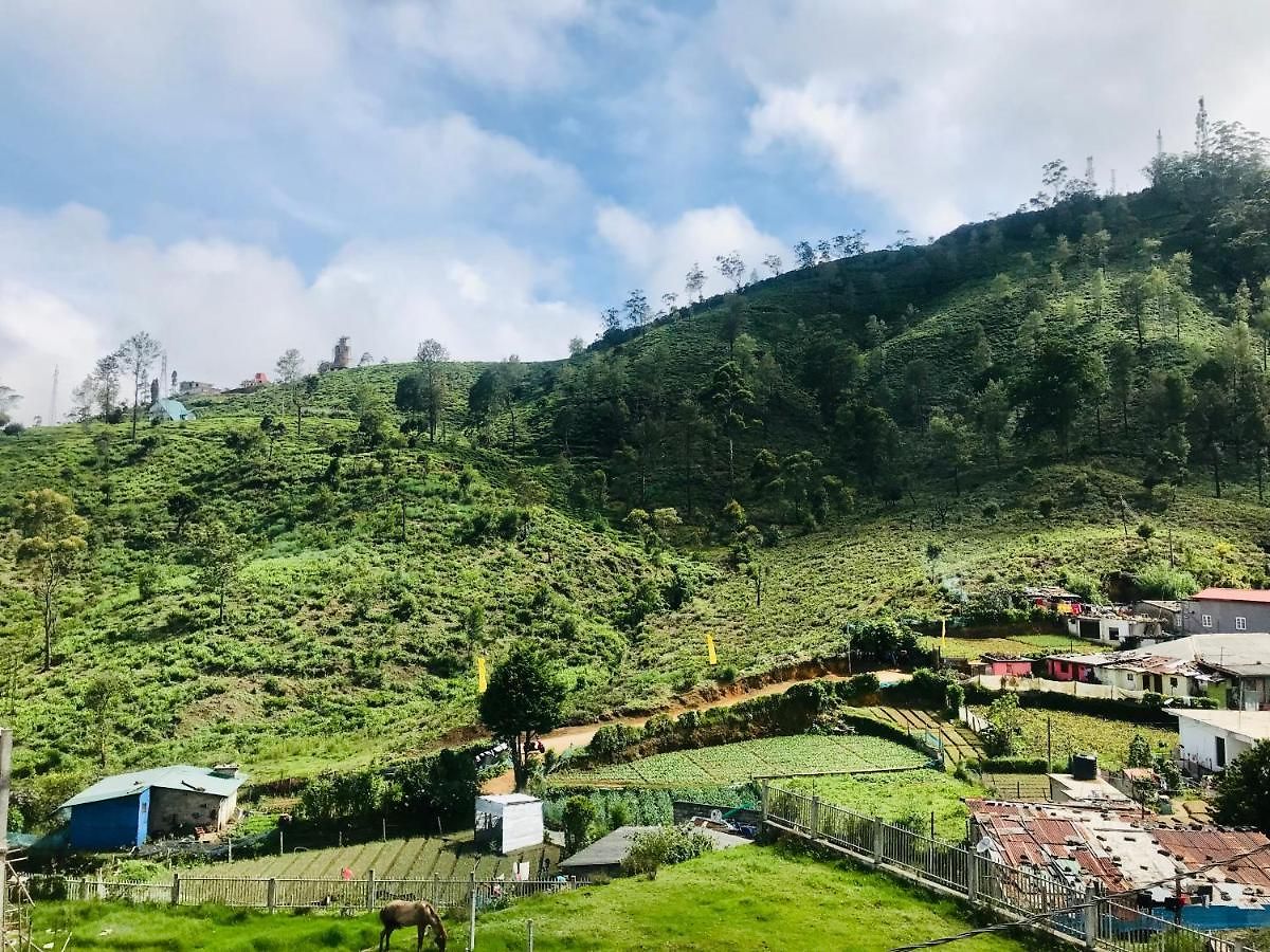 Queensland * Nuwara Eliya