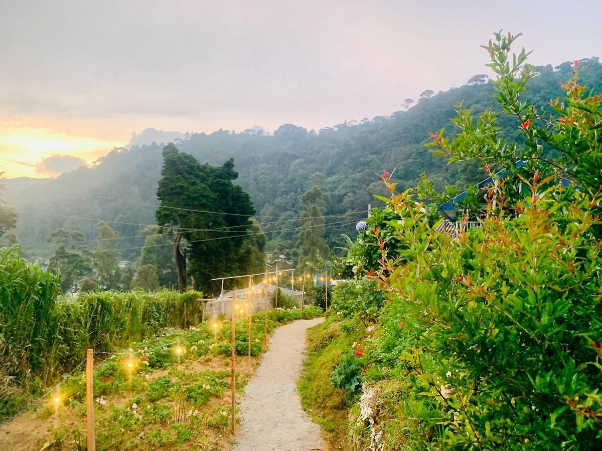 Heaven's Place *