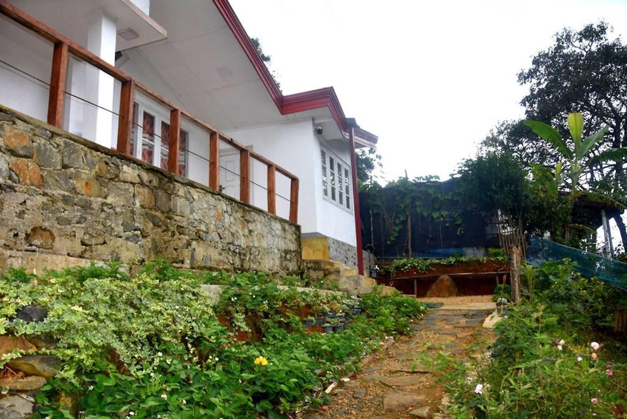 Forest View Hotel