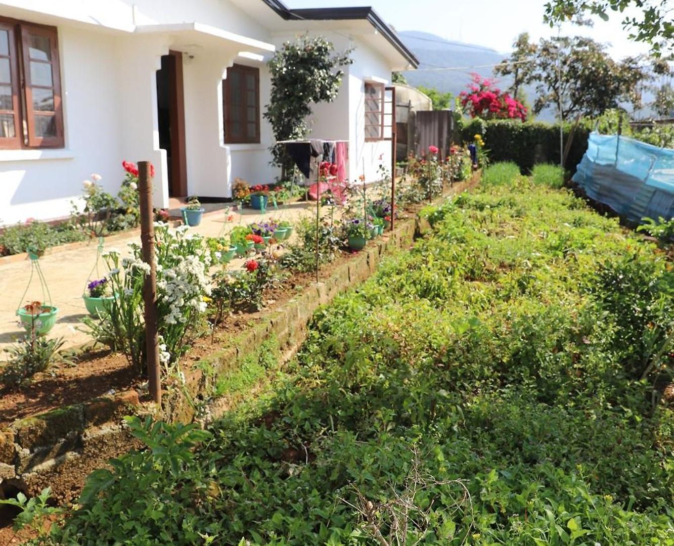 Dawn's Villa