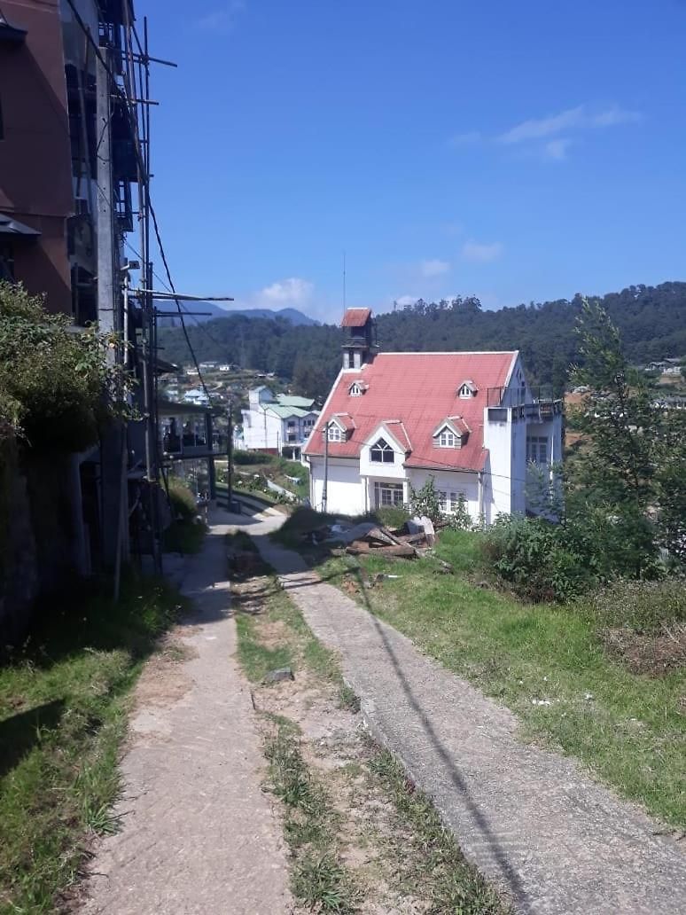 Edelweiss * Nuwara Eliya