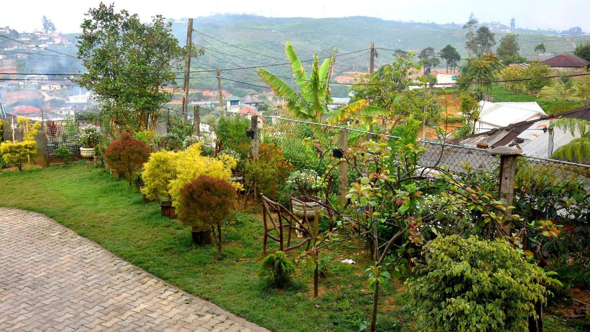 Carmalin * Nuwara Eliya