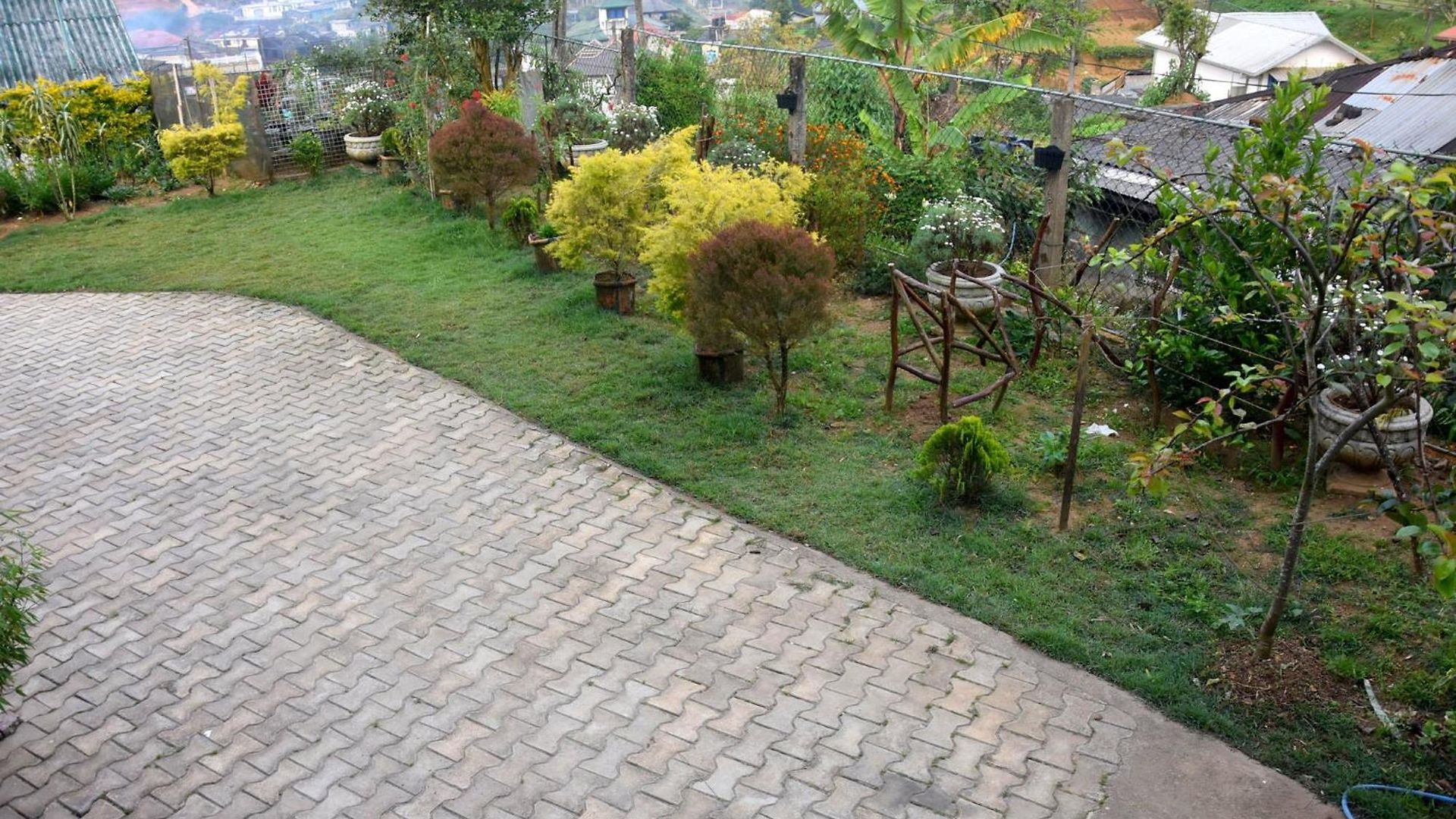 Carmalin * Nuwara Eliya