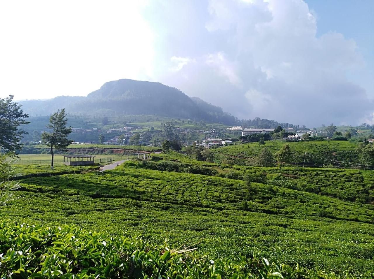 Tealeaf Hotel 3*