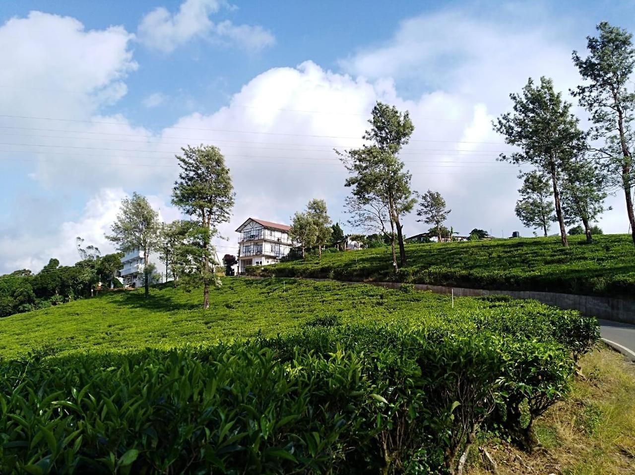 Hotel Tealeaf Nuwara Eliya