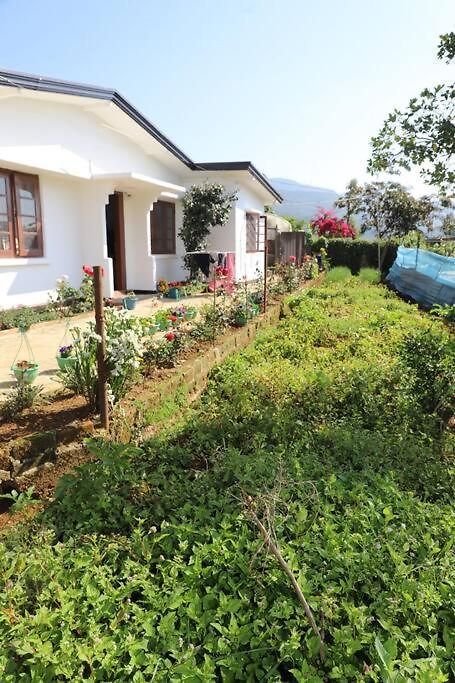 Dawn's Villa *