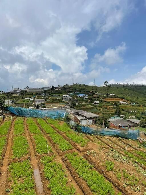 Dawn's * Nuwara Eliya