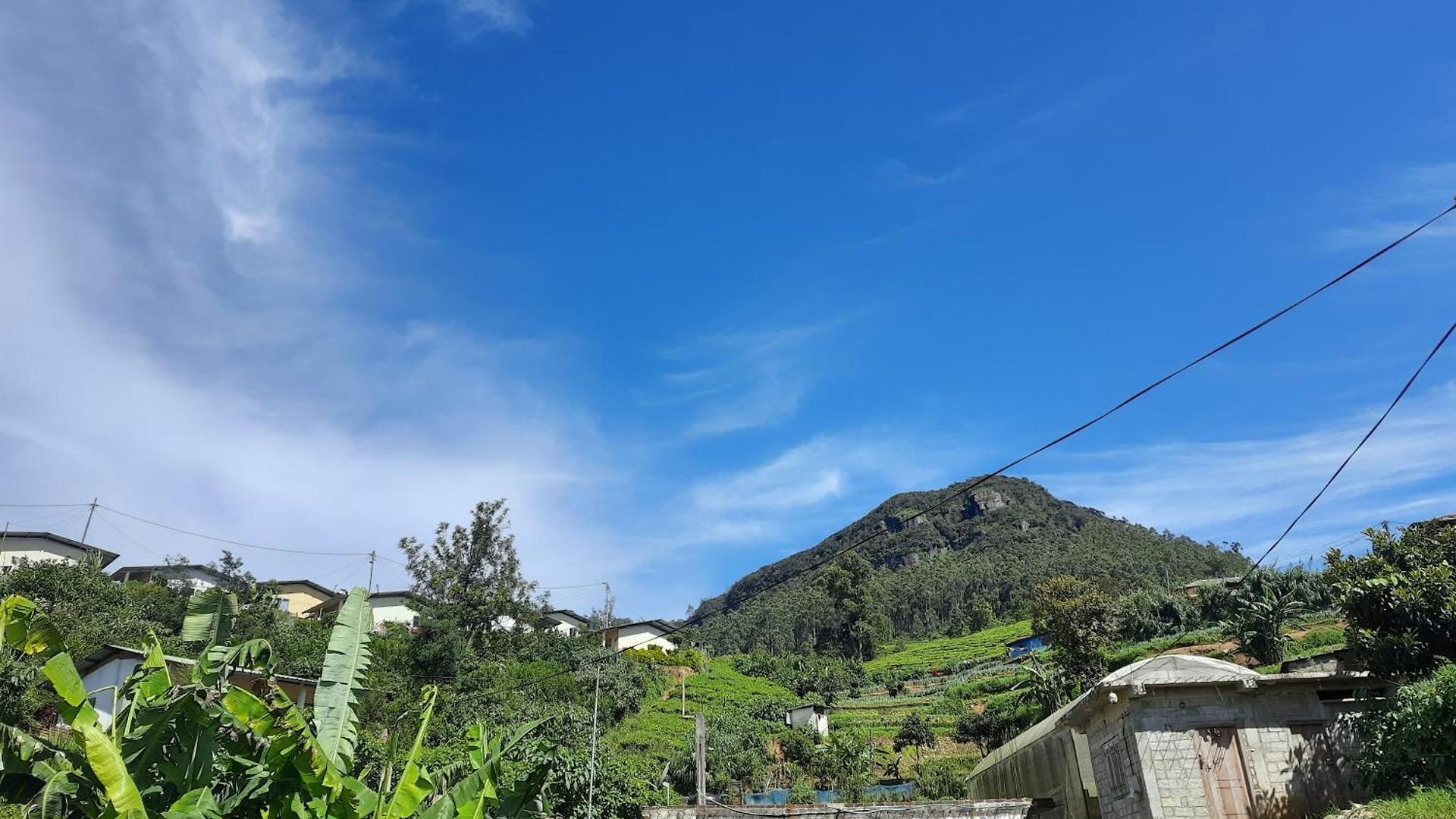 Green Villa