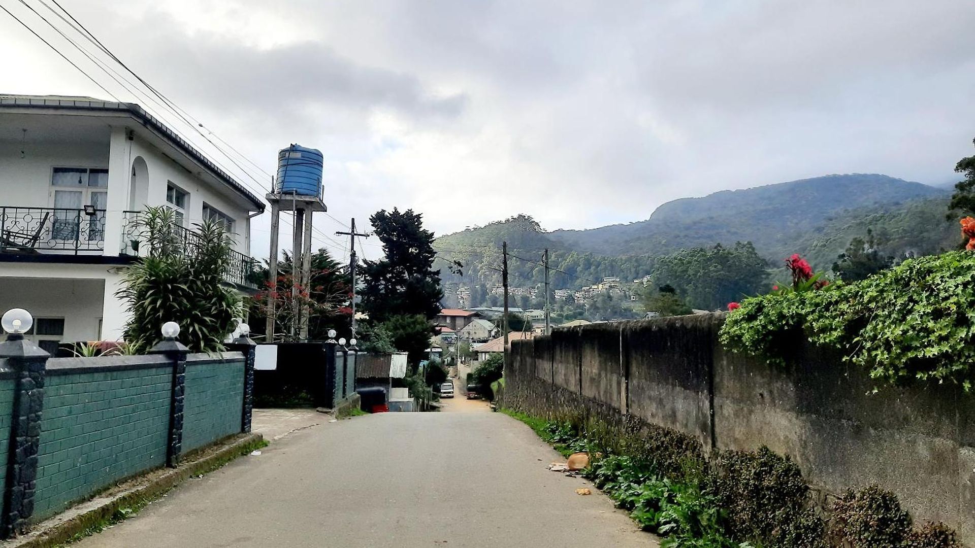 Sapu's Mountain Breeze