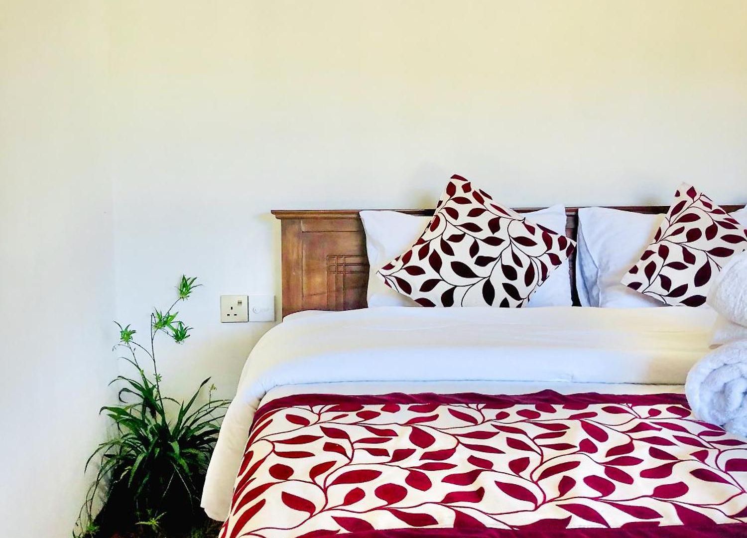Guest house Star