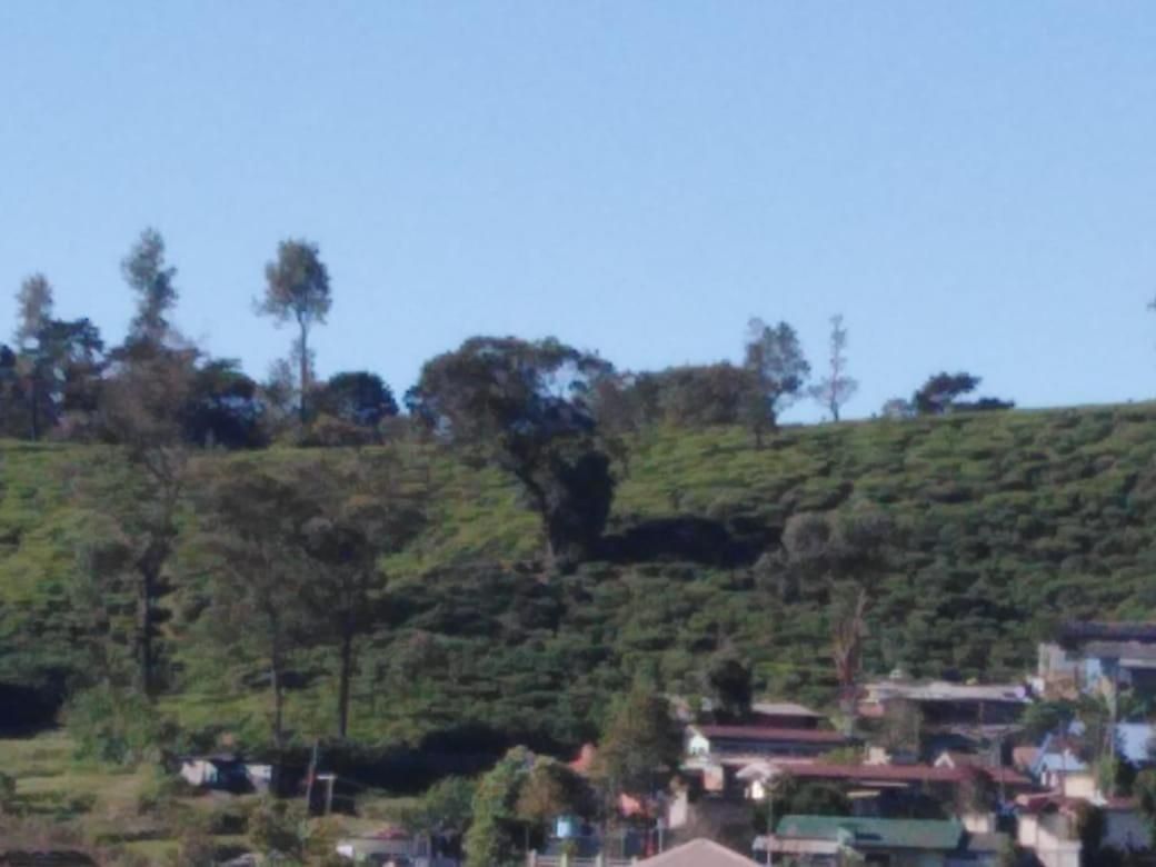 Frosty Heaven Guest House 4* Nuwara Eliya