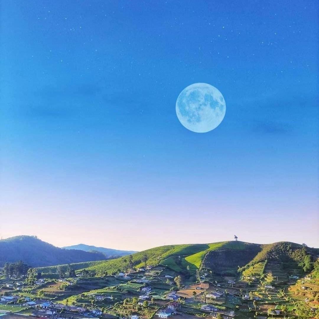 7000 Feet - A Cozy Mountain View Retreat In *