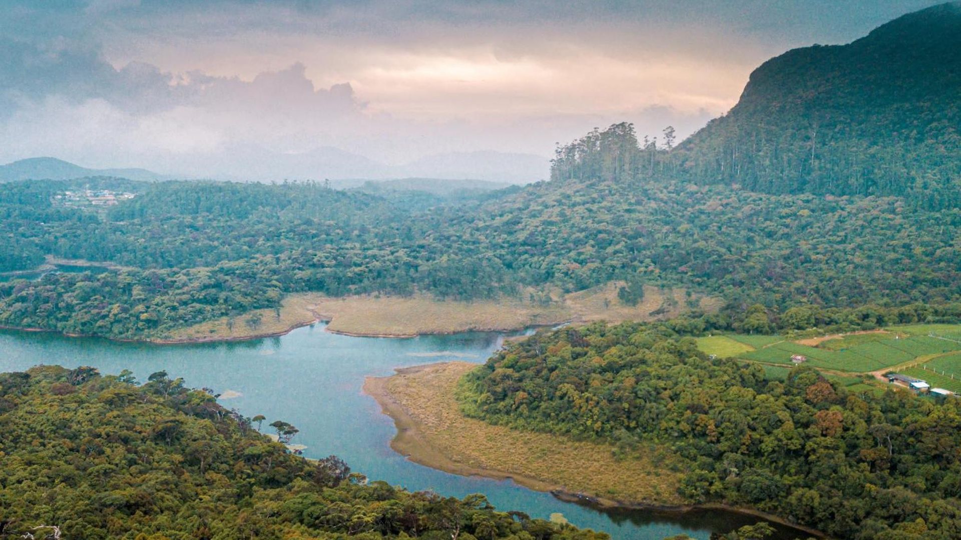 The Forest And By Schofieldshire Nuwara Eliya
