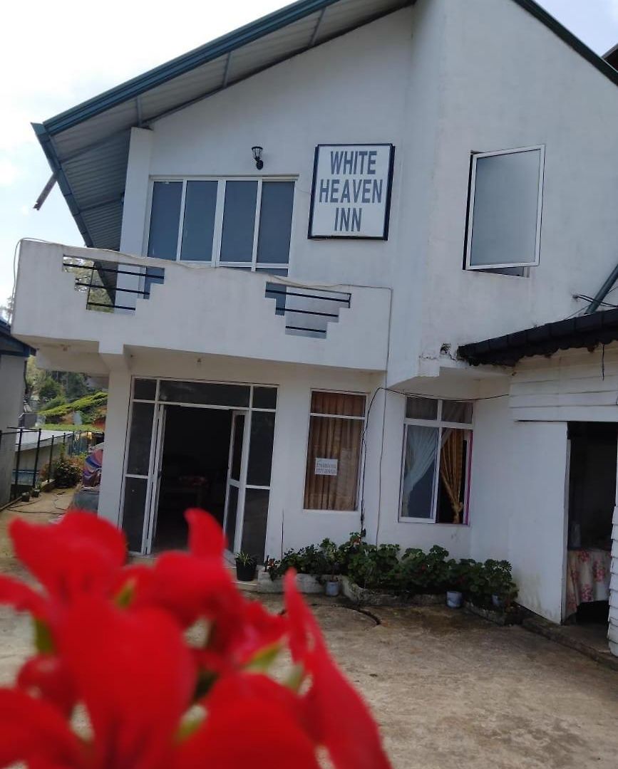 Hotel New White Heven *