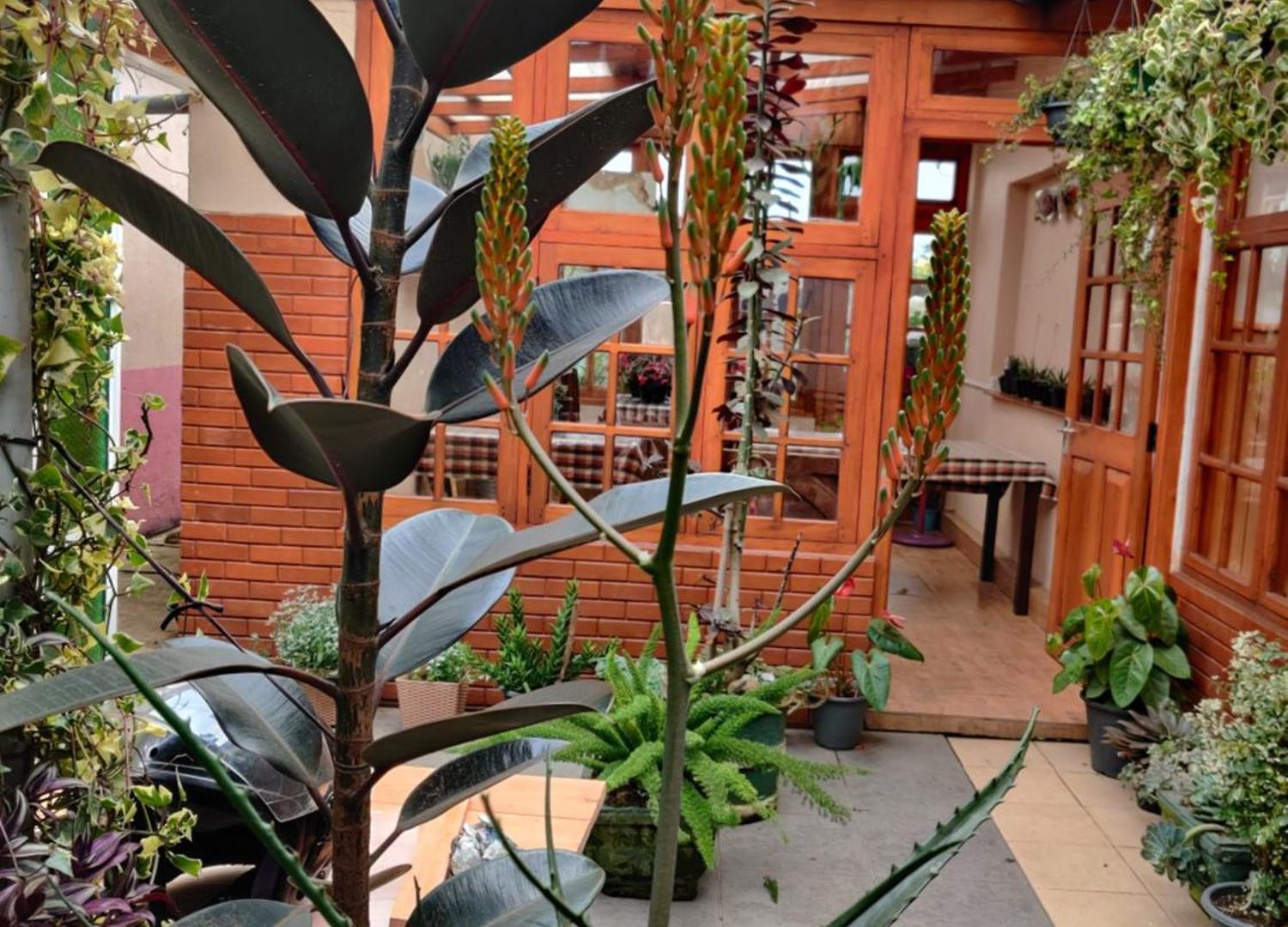 Carnation Rest Nuwara Eliya