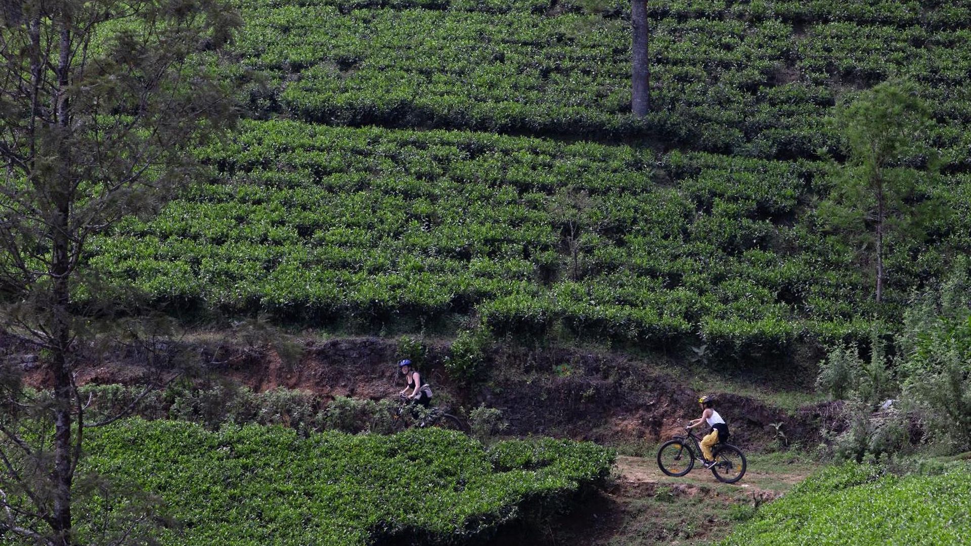 Hotel Heritance Tea Factory (adults Only) 5*