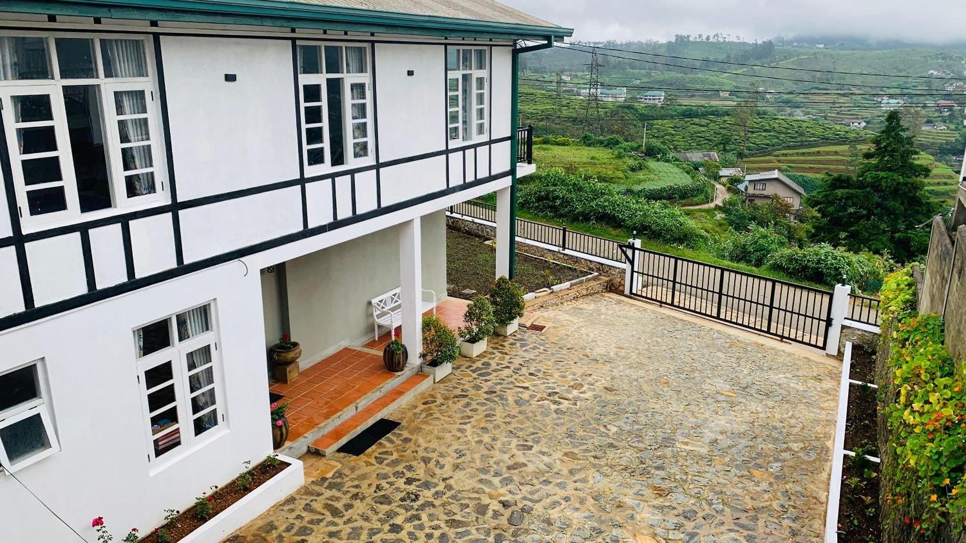 Lilys Nuwaraeliya
