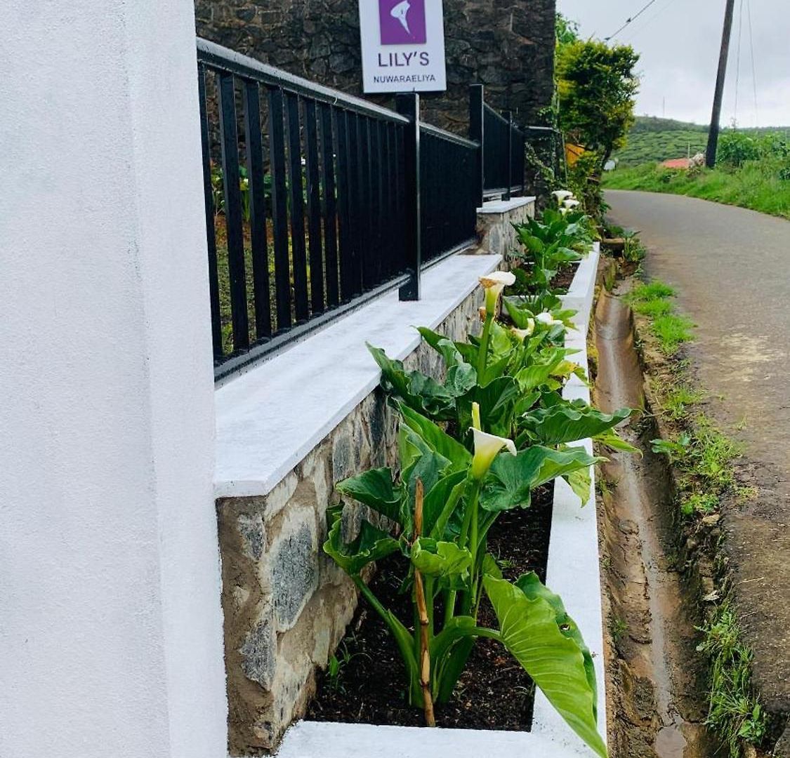 Lilys Nuwaraeliya Hotel